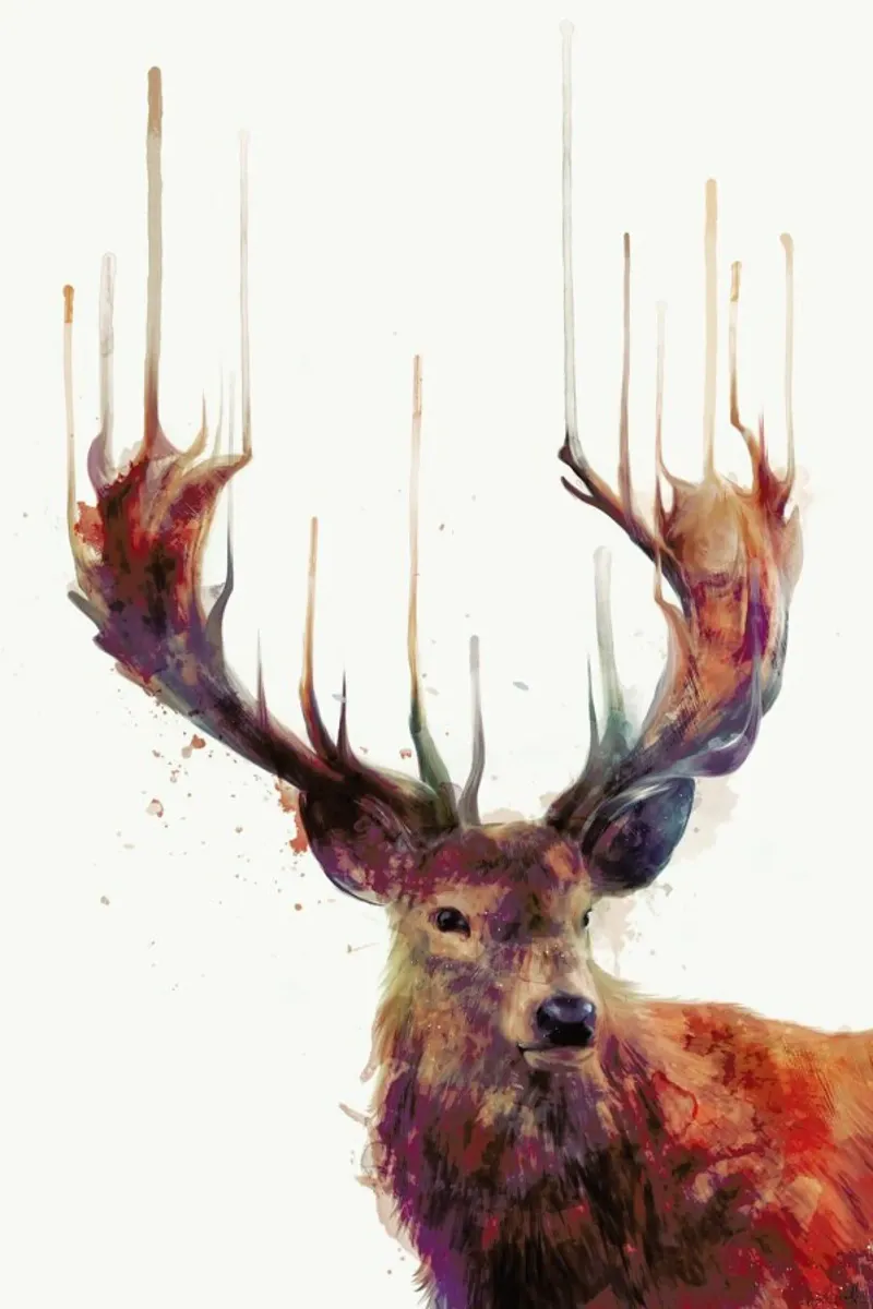 Red Deer pellicola backlit da Amy Hamilton