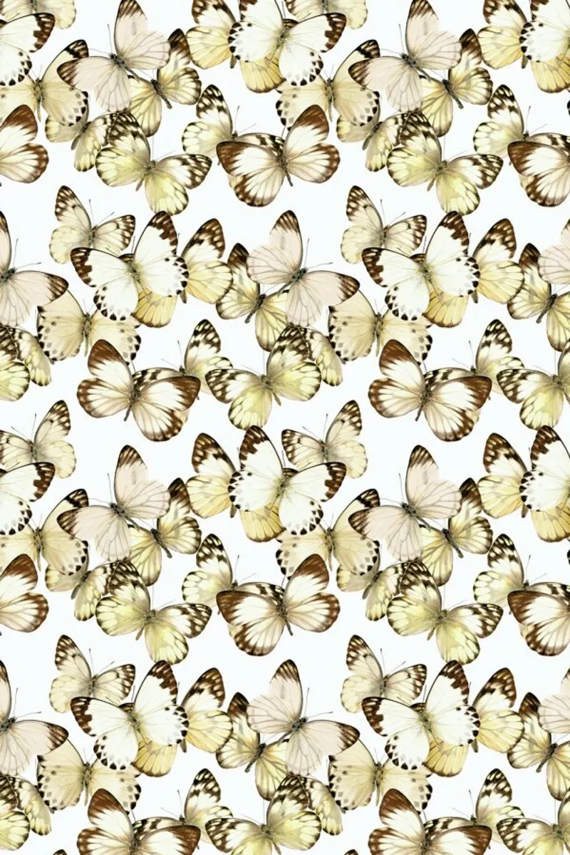 Butterflies pellicola backlit da Curious Collections by Marielle Leenders