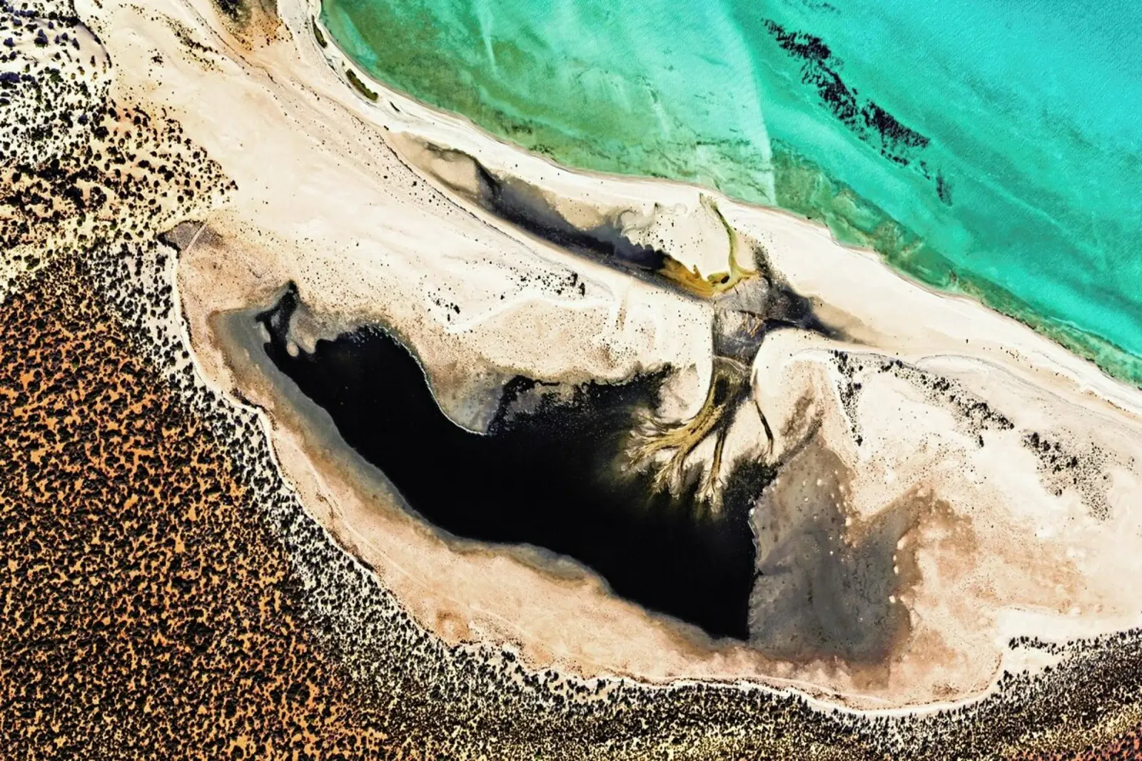Shark Bay 14 pellicola backlit da Simon Butterworth