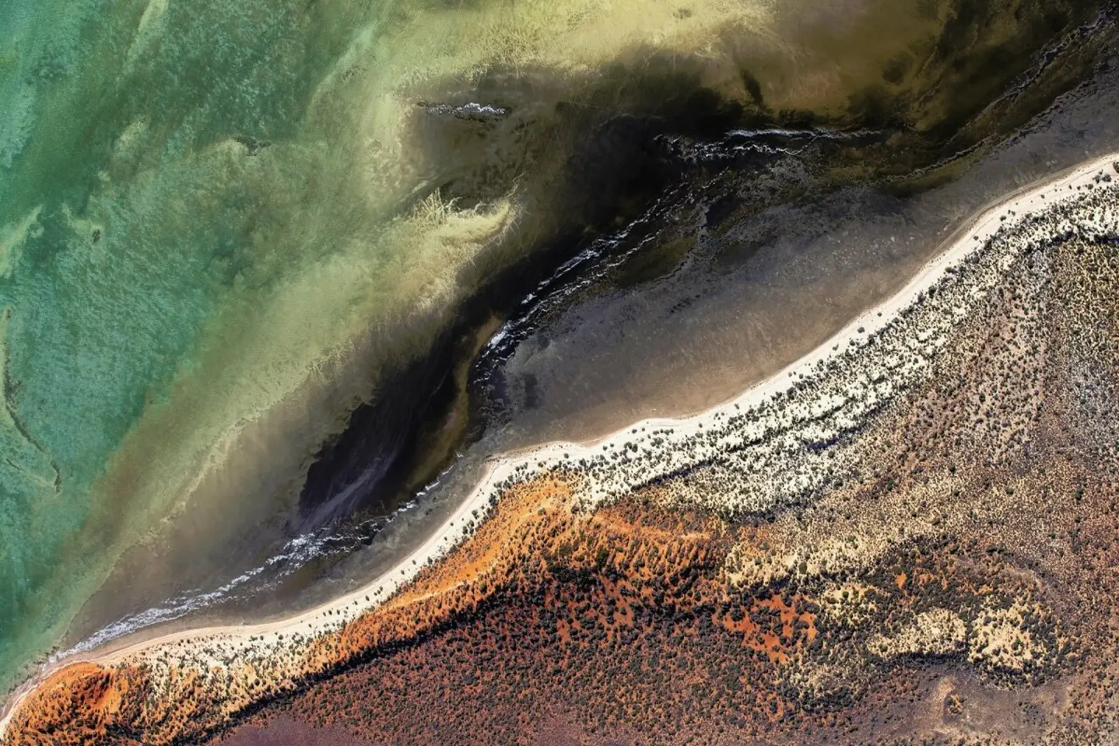 Shark Bay 16 pellicola backlit da Simon Butterworth
