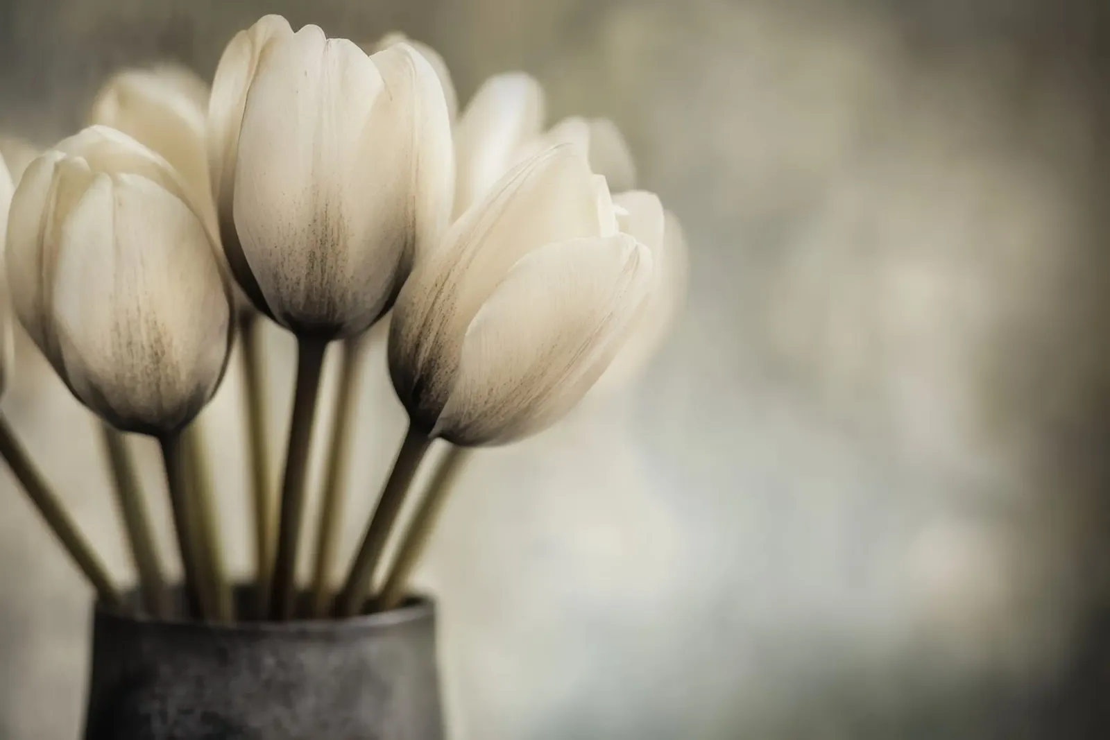 Un vaso con tulipani dai colori tenui carta hahnemühle da Imagine