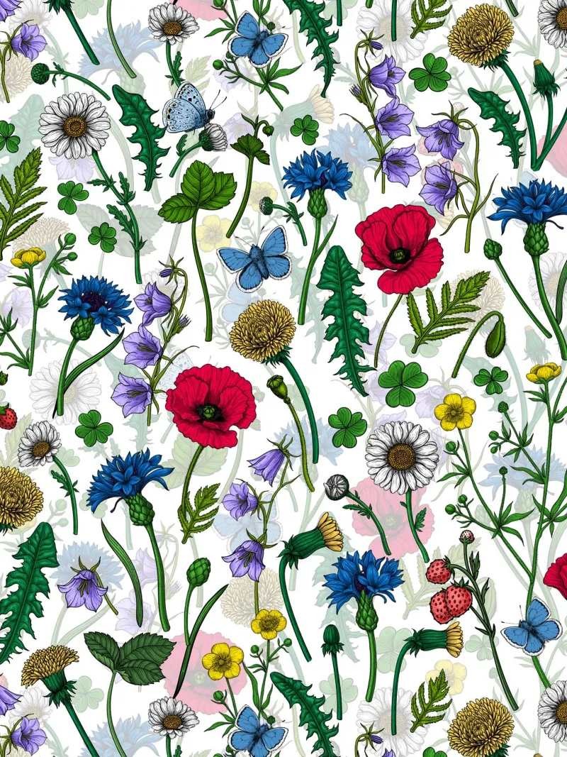 Wild flowers, poppies, cornflowers, daisies and butterflies alu-dibond by Painted Nature