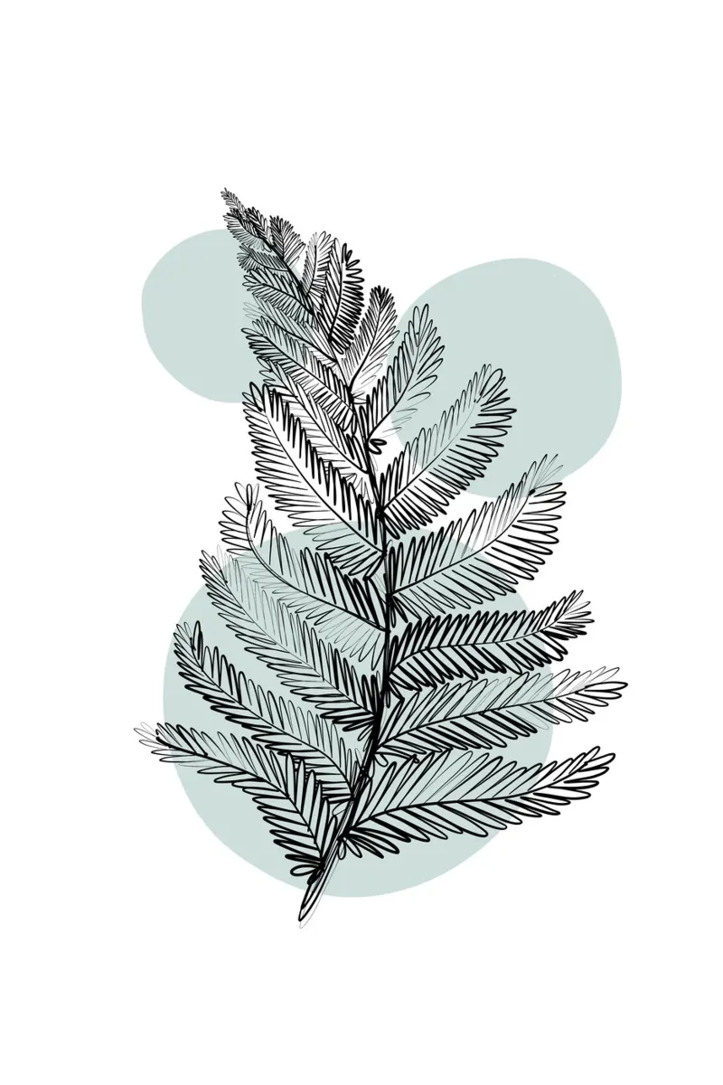 Alina Buffiere - Botaniche delicate - Farn pellicola backlit da The Artcircle