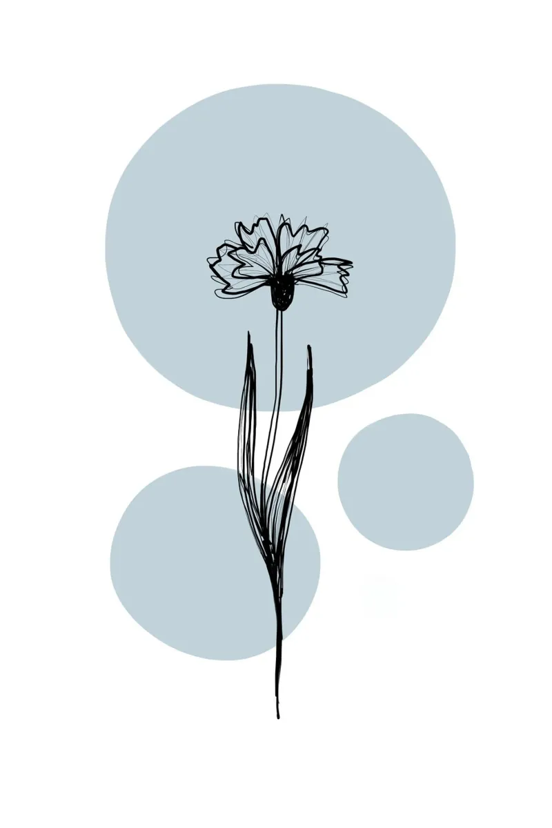Alina Buffiere - Delicate Botanicals - Kornblume carta hahnemühle da The Artcircle