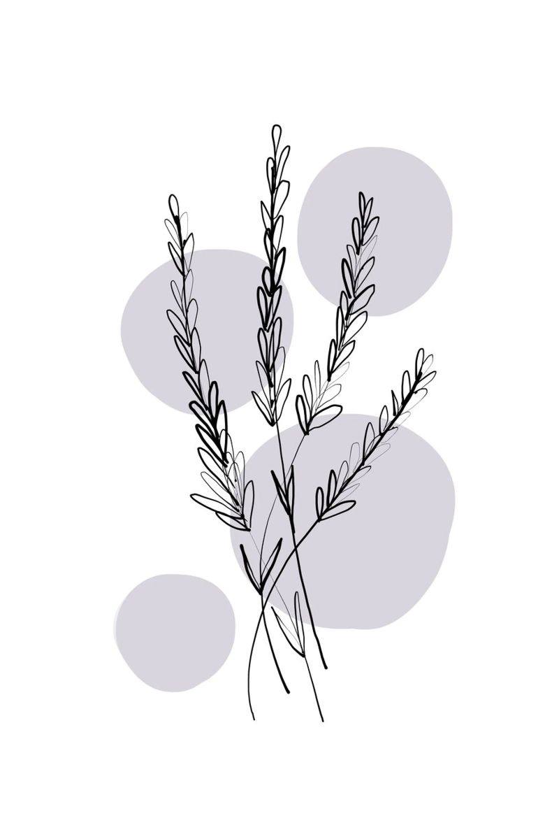 Alina Buffiere - Delicate Botanicals - Lavendar Leinwand von The Artcircle