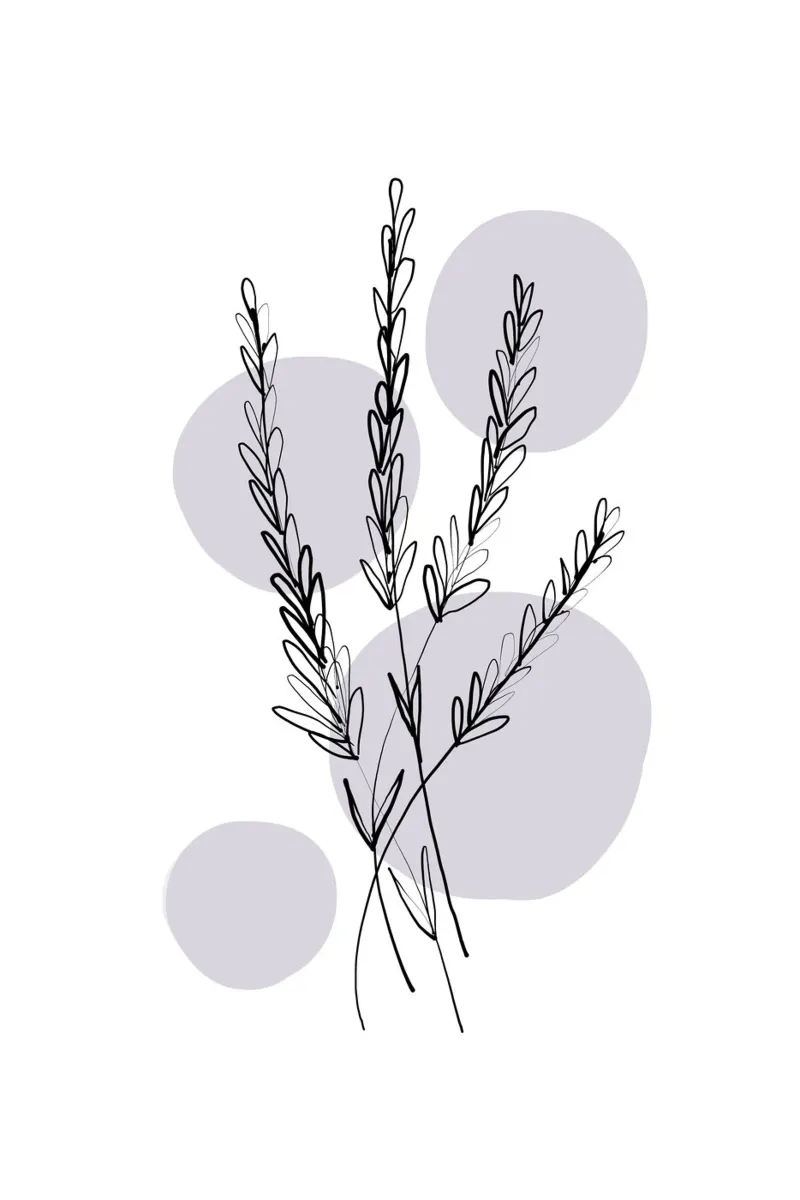 Alina Buffiere - Delicate Botanicals - Lavendar pellicola backlit da The Artcircle
