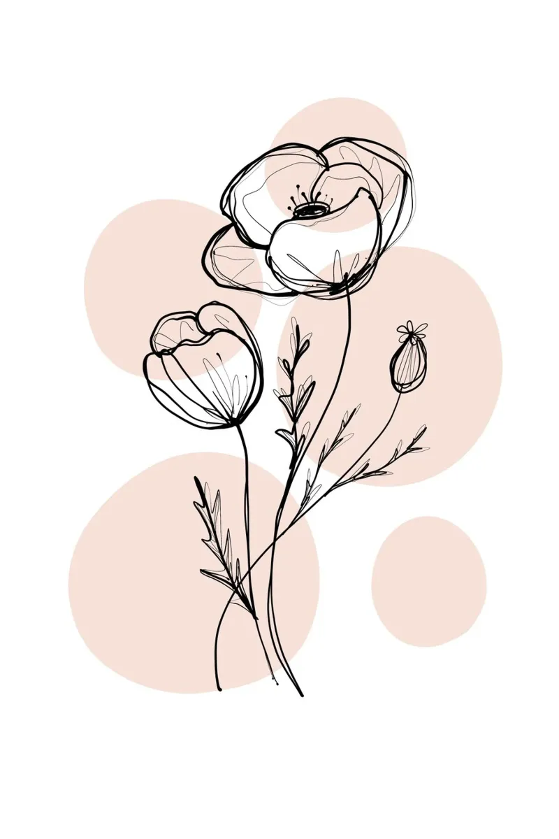 Alina Buffiere - Delicate Botanicals - Poppies pellicola backlit da The Artcircle