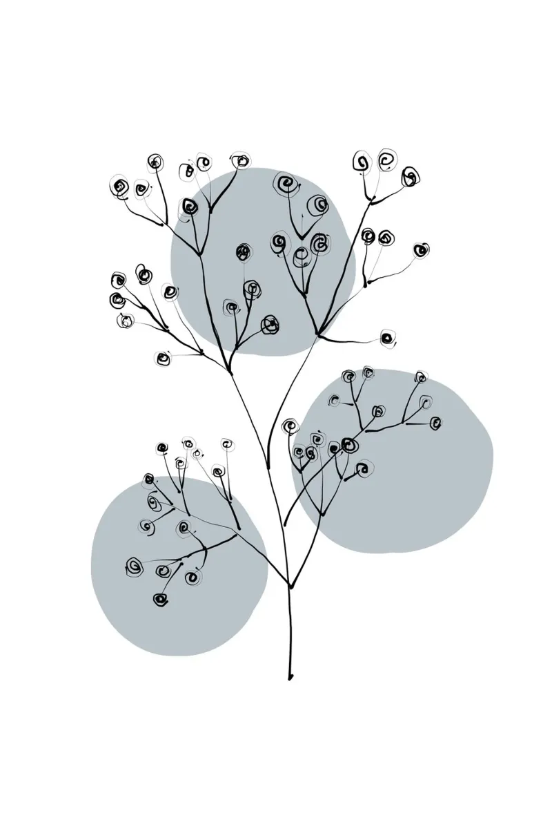 Alina Buffiere - Delicate Botanicals - Schleierkraut alluminio dibond da The Artcircle