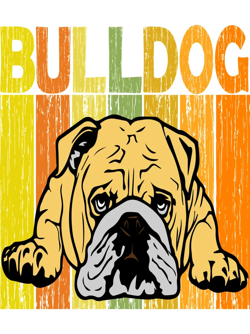 Bulldog Retro Design carta hahnemühle da vickeyroads