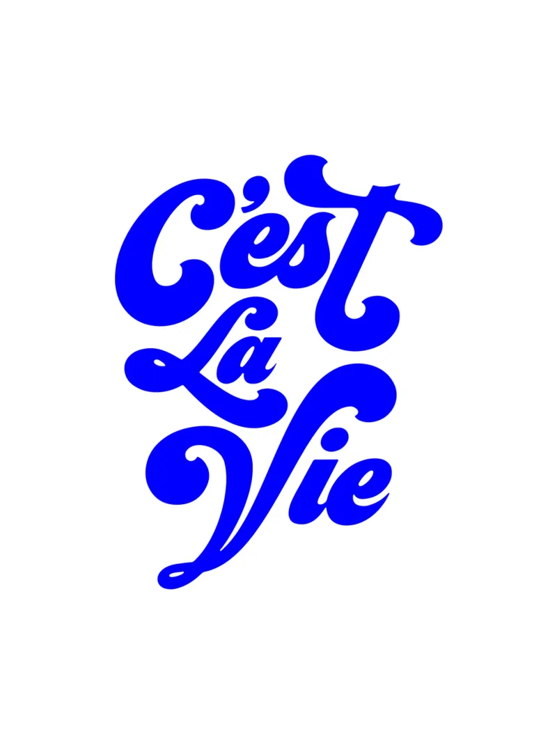 c'est la vie, citazione motivazionale francese pellicola backlit da The True Type