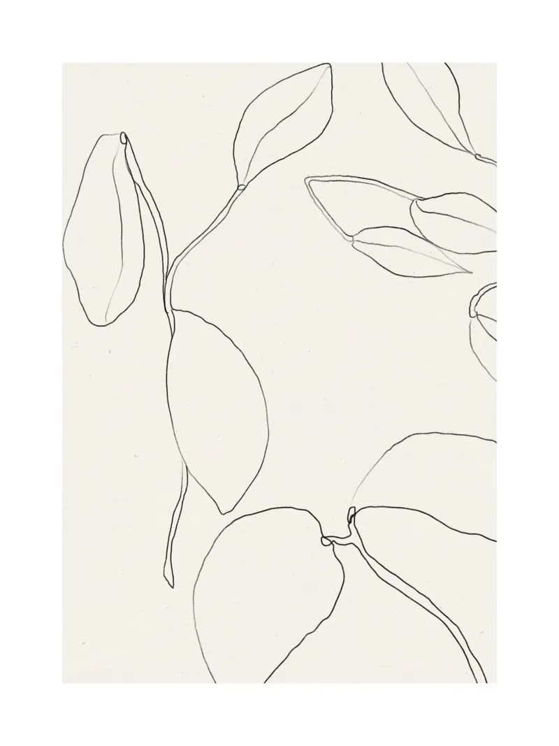 Vie Simple No 26 pellicola backlit da treechild