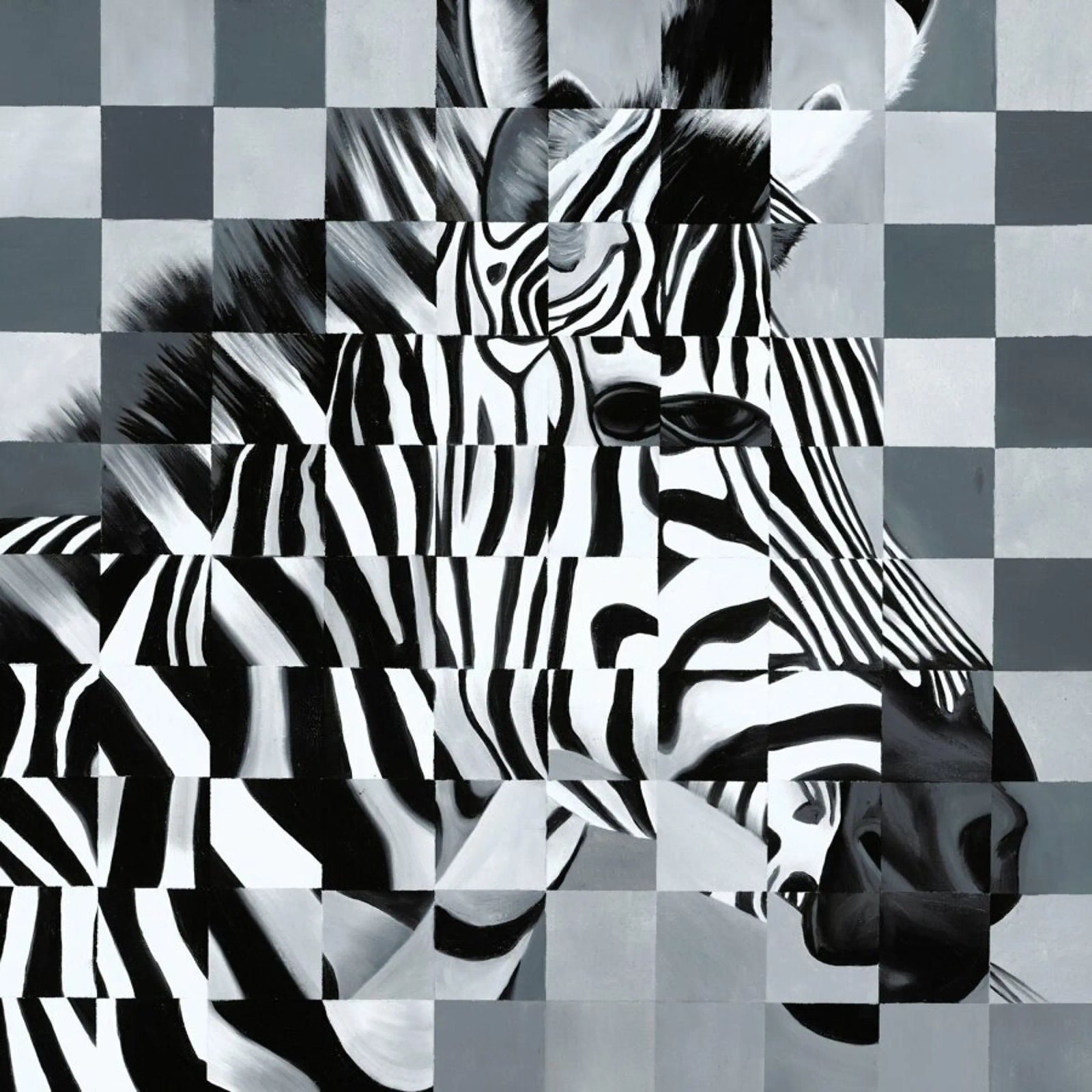 Zebra pellicola backlit da Allison Chaplin