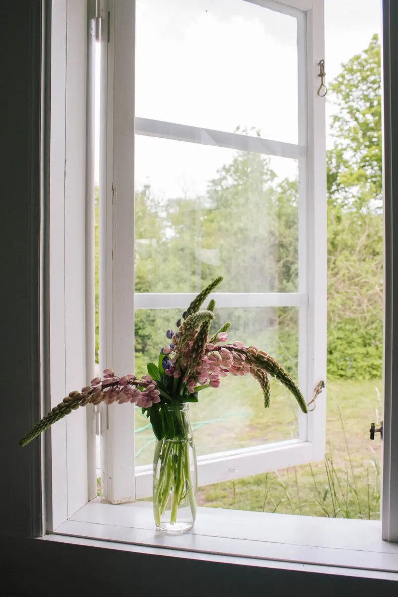 Lupinen am Fenster canvas by The Wild Creative Studio