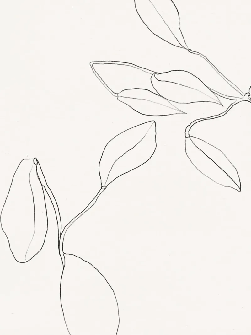 Vie Simple No 9 pellicola backlit da treechild