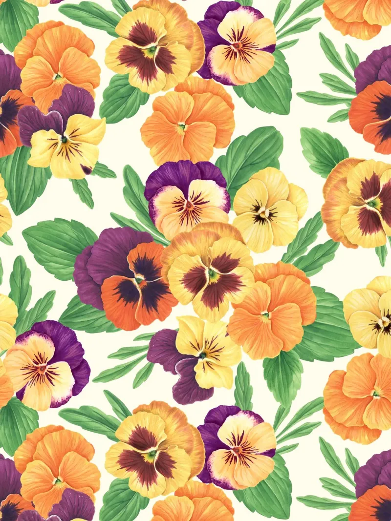 Pansies on off white backlit film by Painted Nature