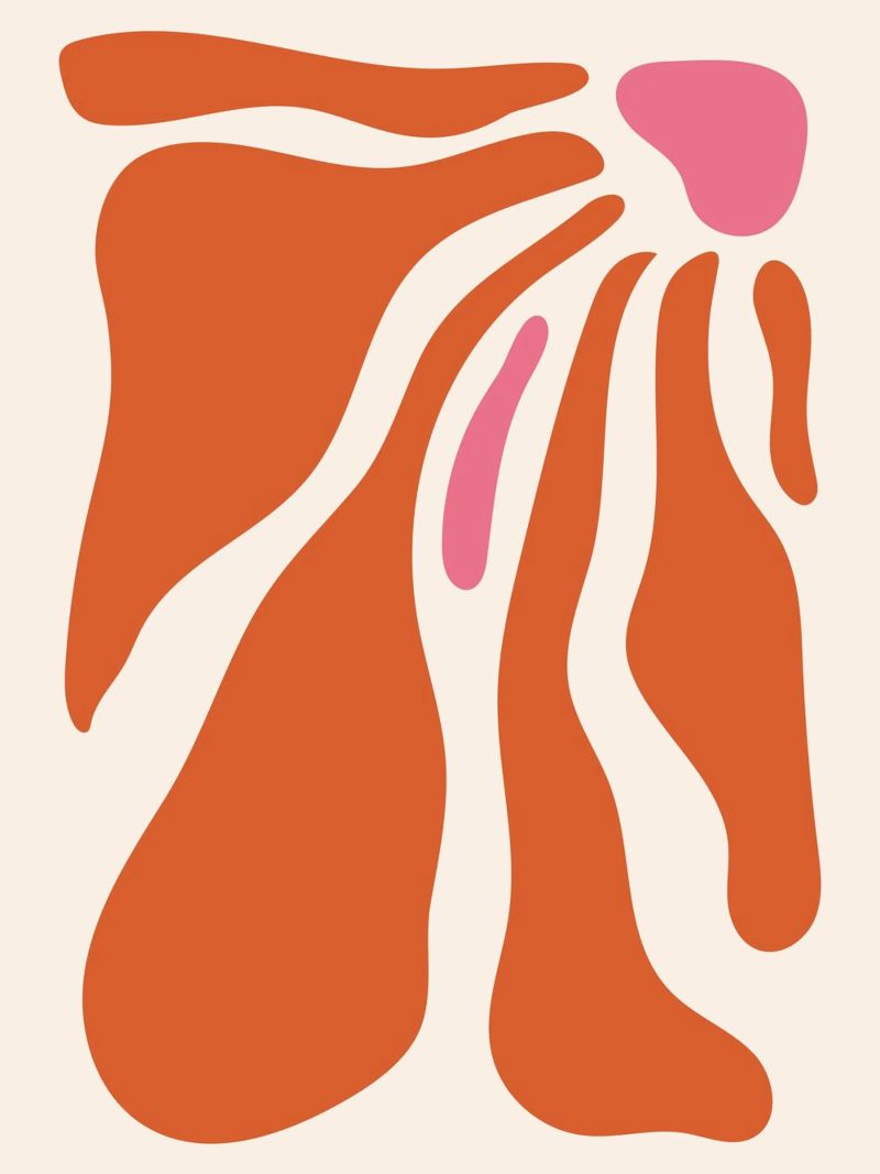 Organic shapes - Orange-Pink Art poster by Whole©