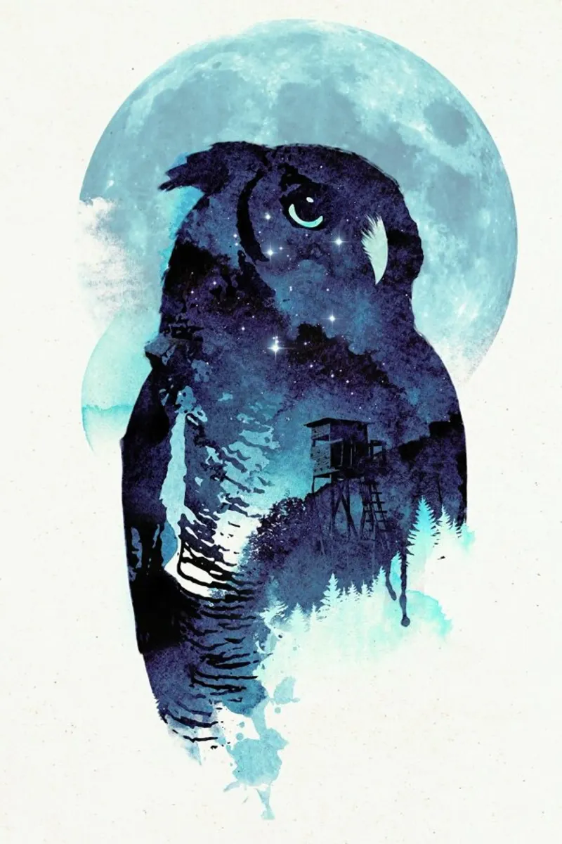 Midnight owl pellicola backlit da Róbert Farkas