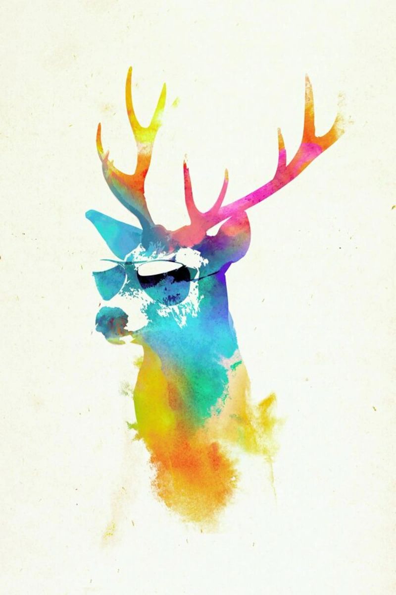 Sunny deer Leinwand von Róbert Farkas