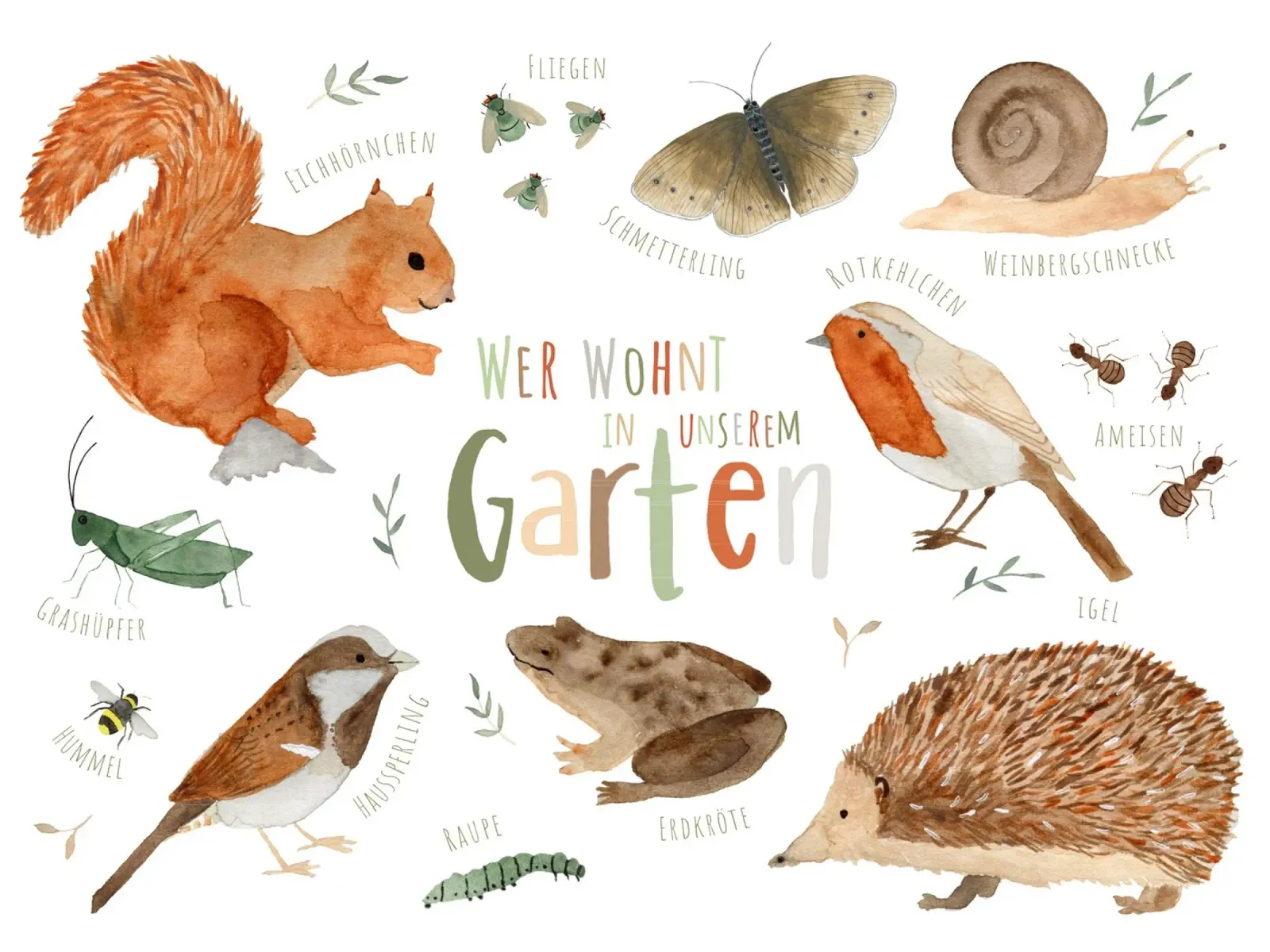 Wie leeft er in onze tuin - tuindieren canvas met Baklijst van herzundpapier