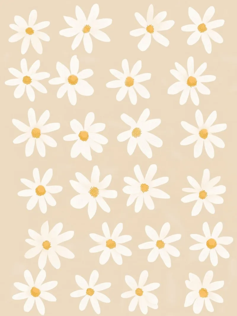 Cute Daisies canvas by treechild