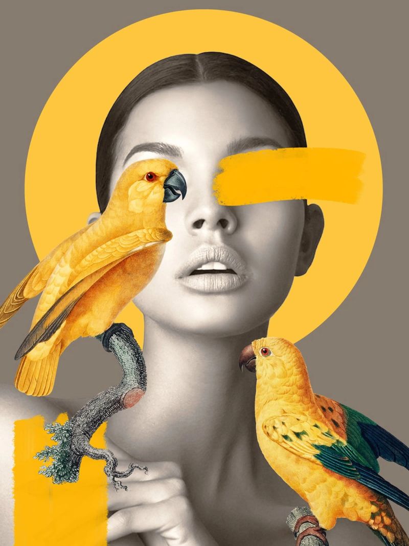 Girl with Parrots poster by dada22