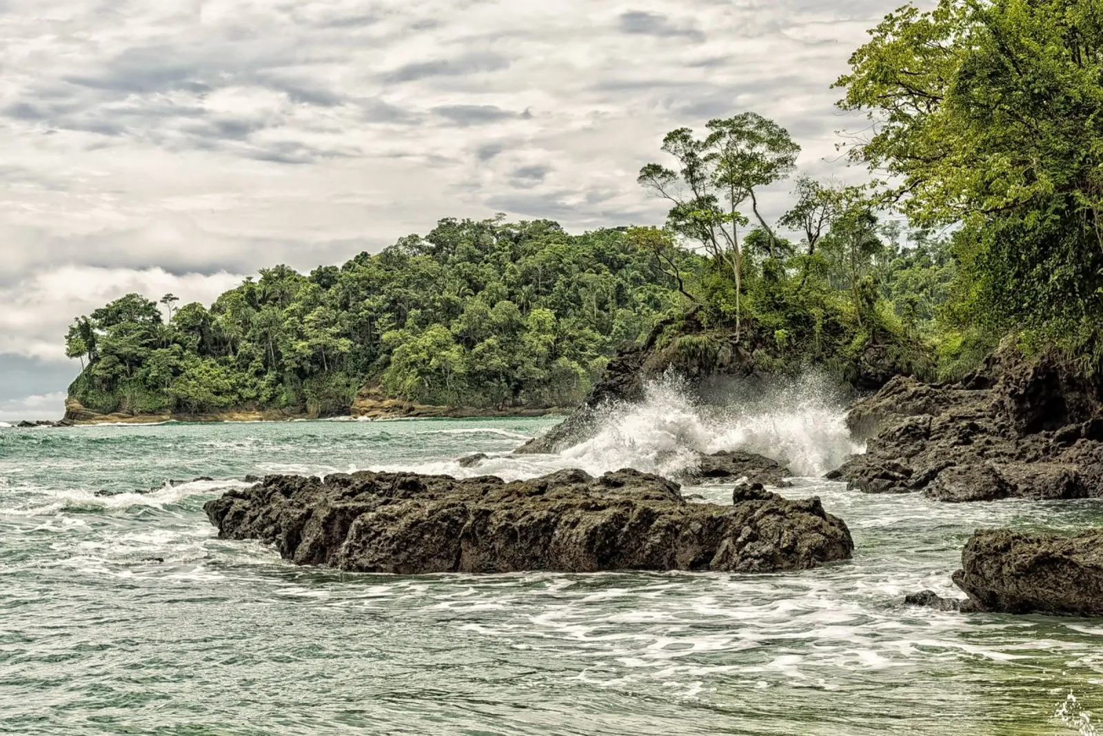 Rugged Jungle Coastline – Where Wilderness Meets the Sea pellicola backlit da Curious Collections by Marielle Leenders
