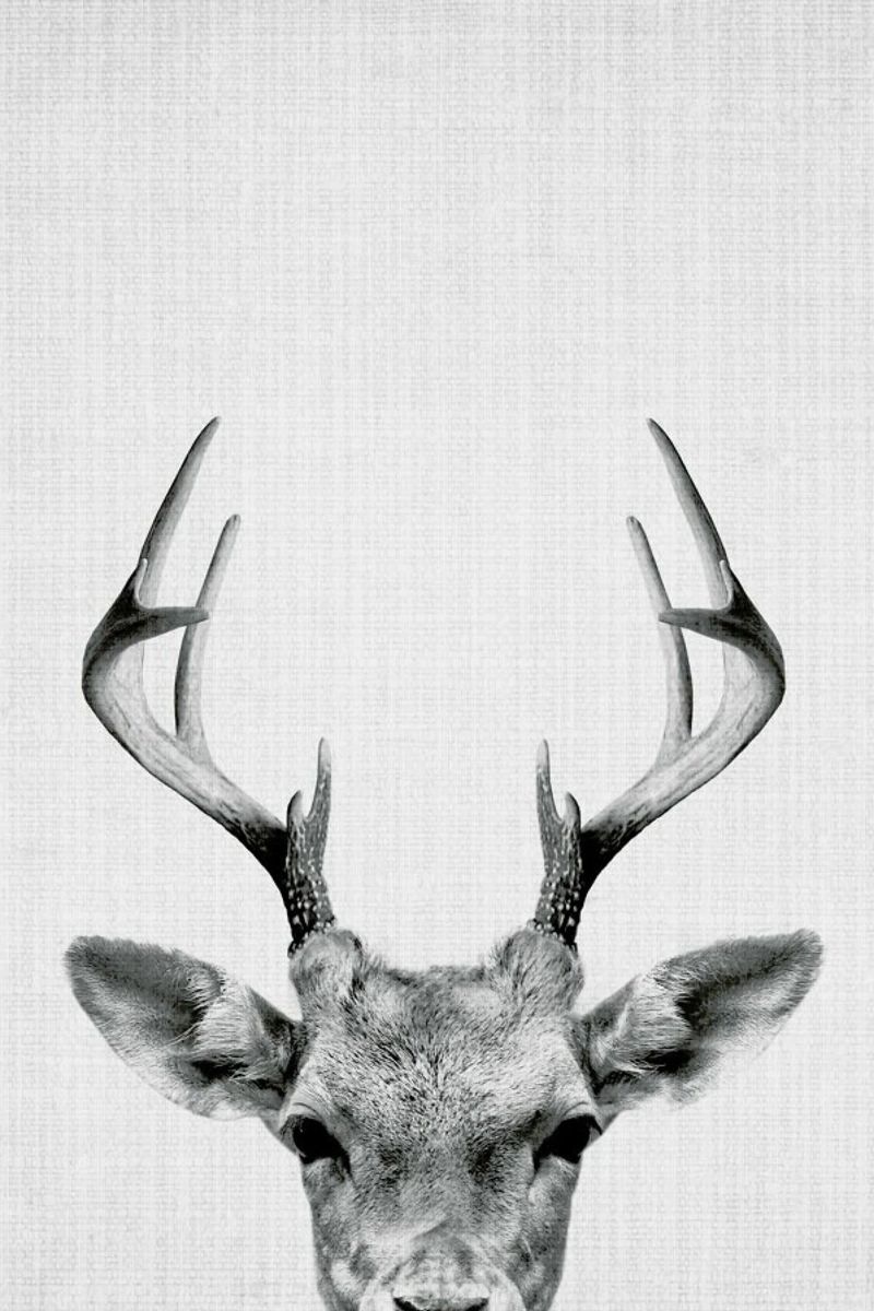 Print 38 Leinwand von Lila x Lola