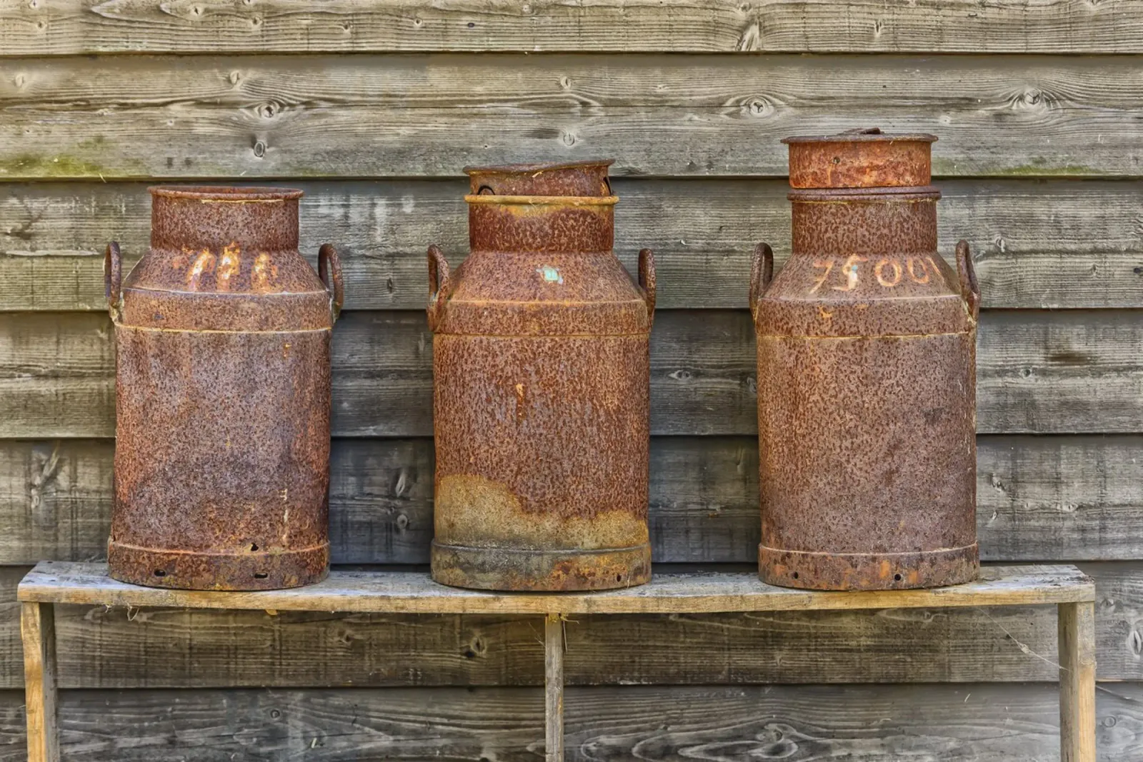 Vintage Farm Charm - Three Rusty Milk Cans in a Row pellicola backlit da Curious Collections by Marielle Leenders