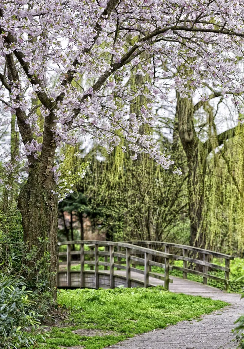 Pastel Pathway – Blossoms and Bridges in Harmony tela con Cornice a cassetta da Curious Collections by Marielle Leenders