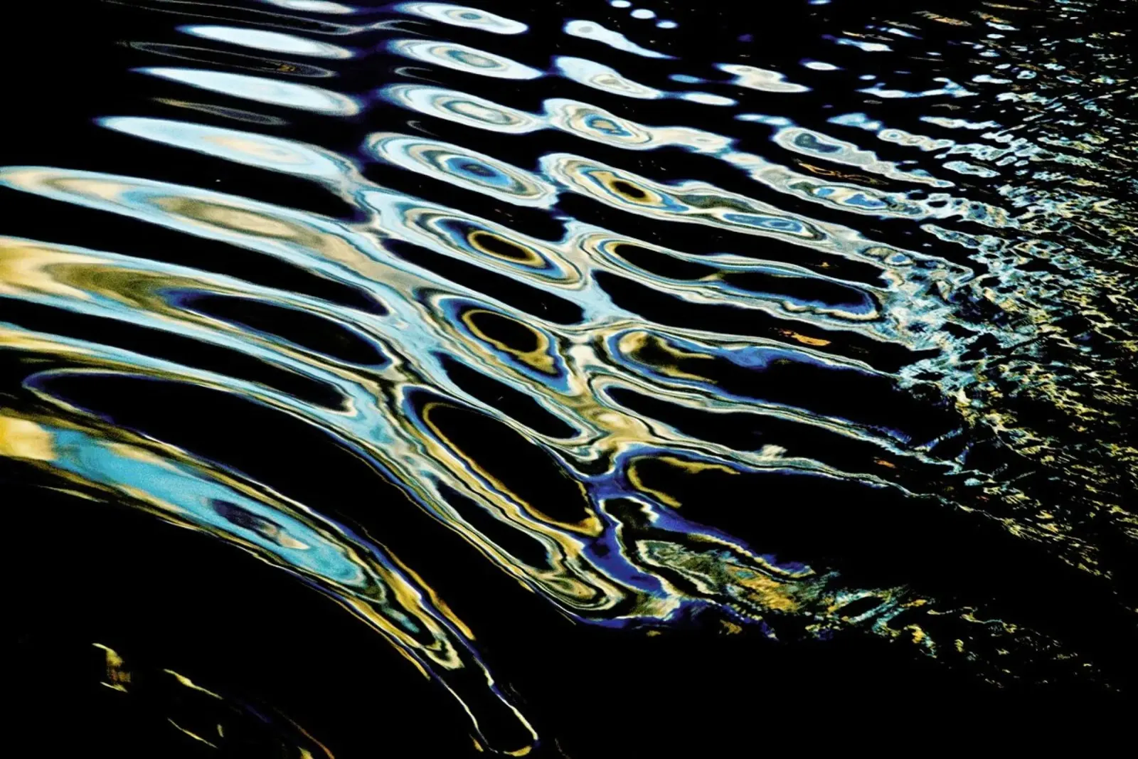 Untitled - Francisco Ross plexiglass da Pictufy
