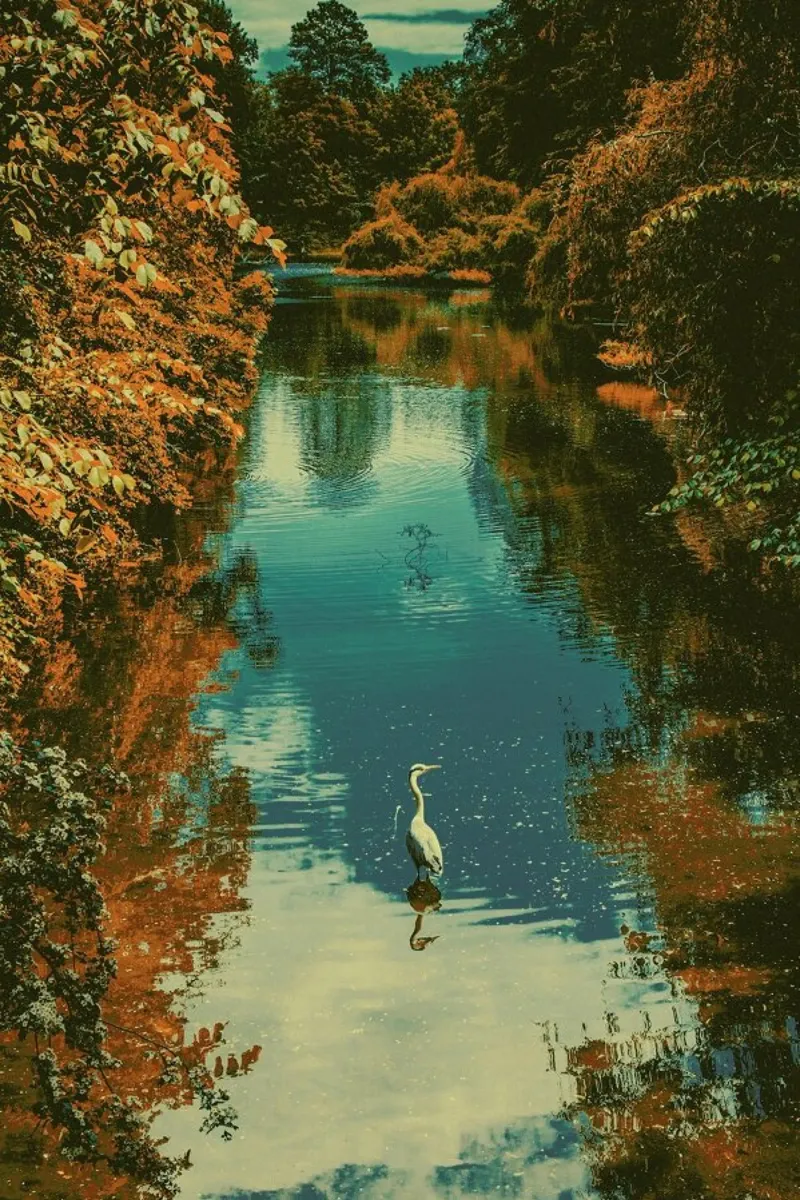 The Heron pellicola backlit da Pale Grain