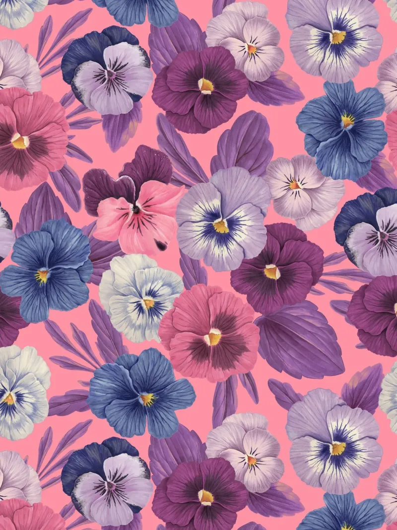 Colorful pansies on candy pink backlit film by Painted Nature