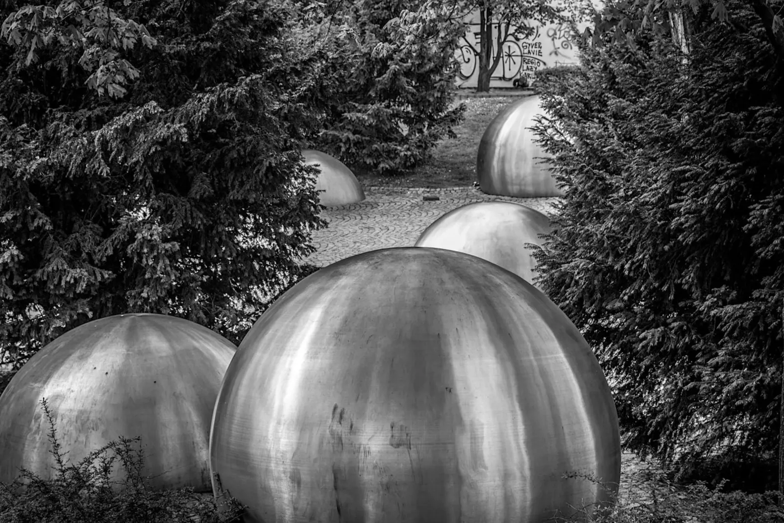 Palle e alberi pellicola backlit da Edenart
