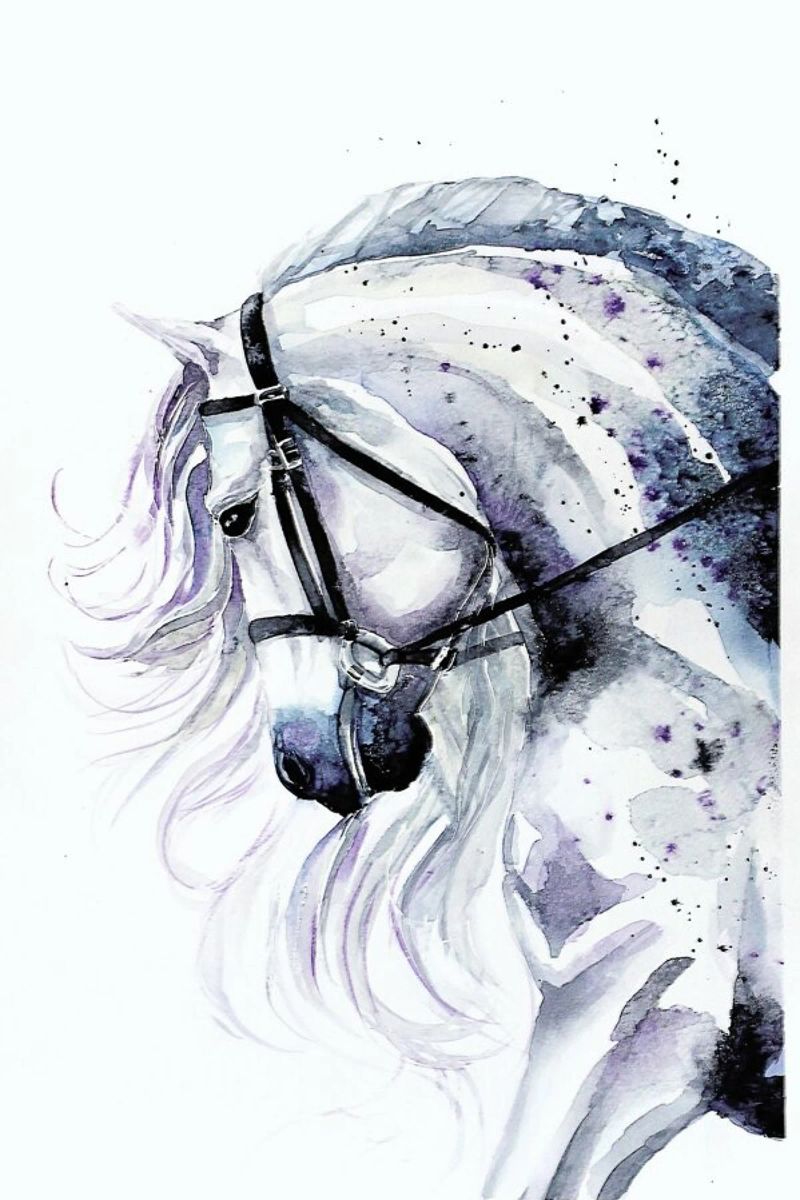 Horse portrait poster by Karolina Kijak