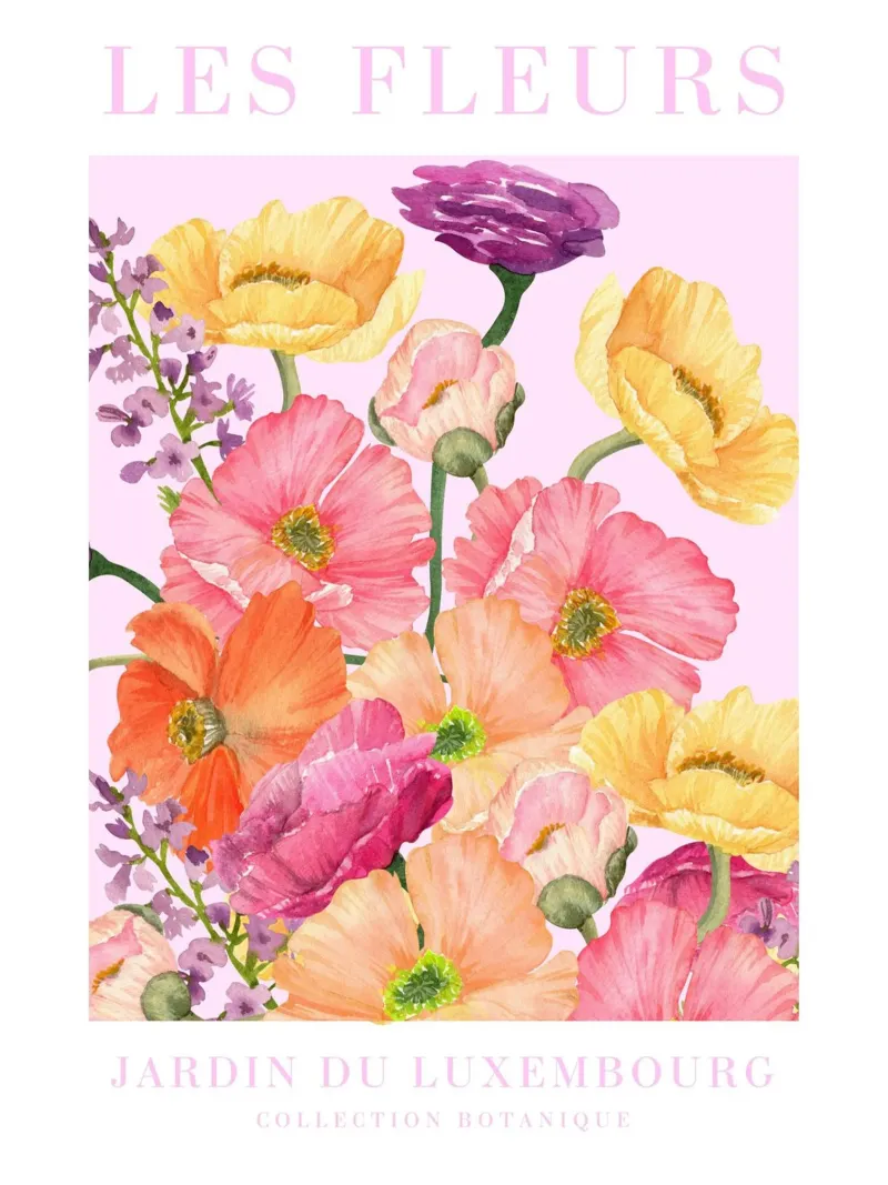 Les Fleurs Paris Flower Print pellicola backlit da Bella Studio