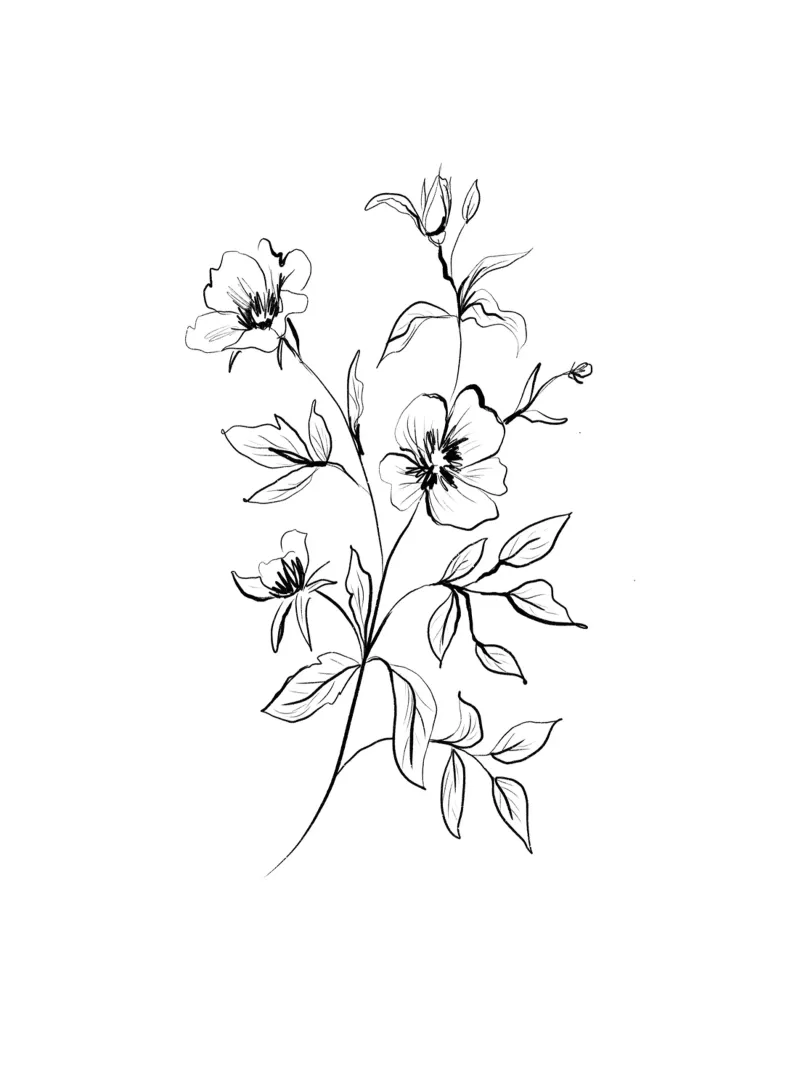 Gestual Floral Bouquet carta hahnemühle da anisillustration