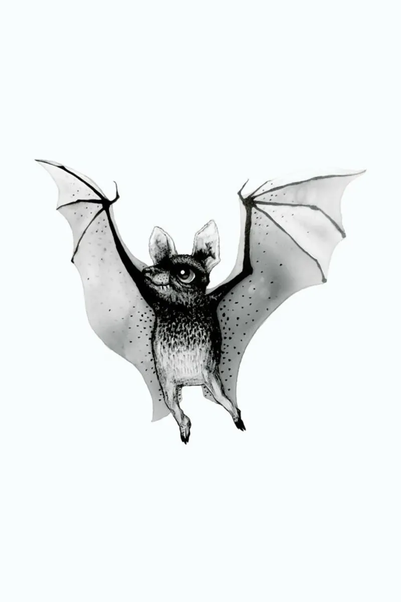 Bat pellicola backlit da Tvinkla