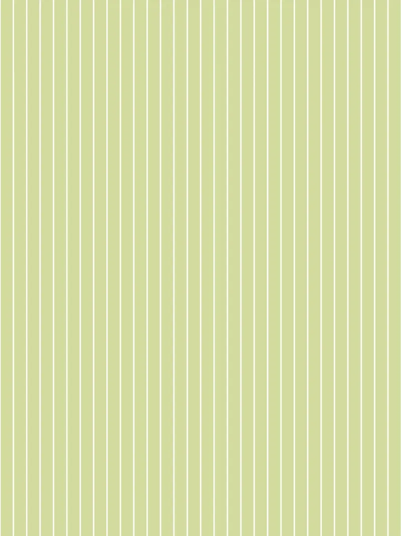 Minimal Basic Classic Nadelstreifen | Weiß auf Soft Apple Green Hahnemühle von Beauty in Simplicity
