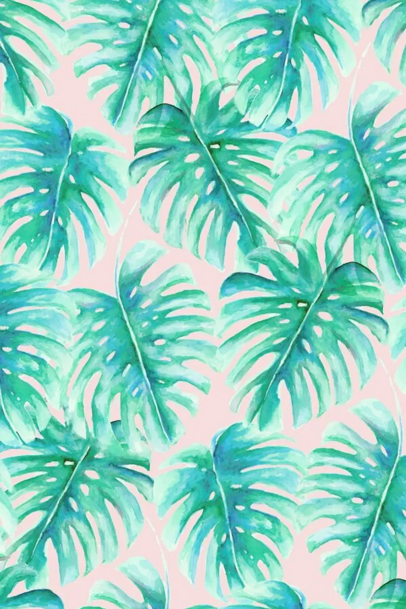 Paradise Palm Blush pellicola backlit da Jacqueline Maldonado