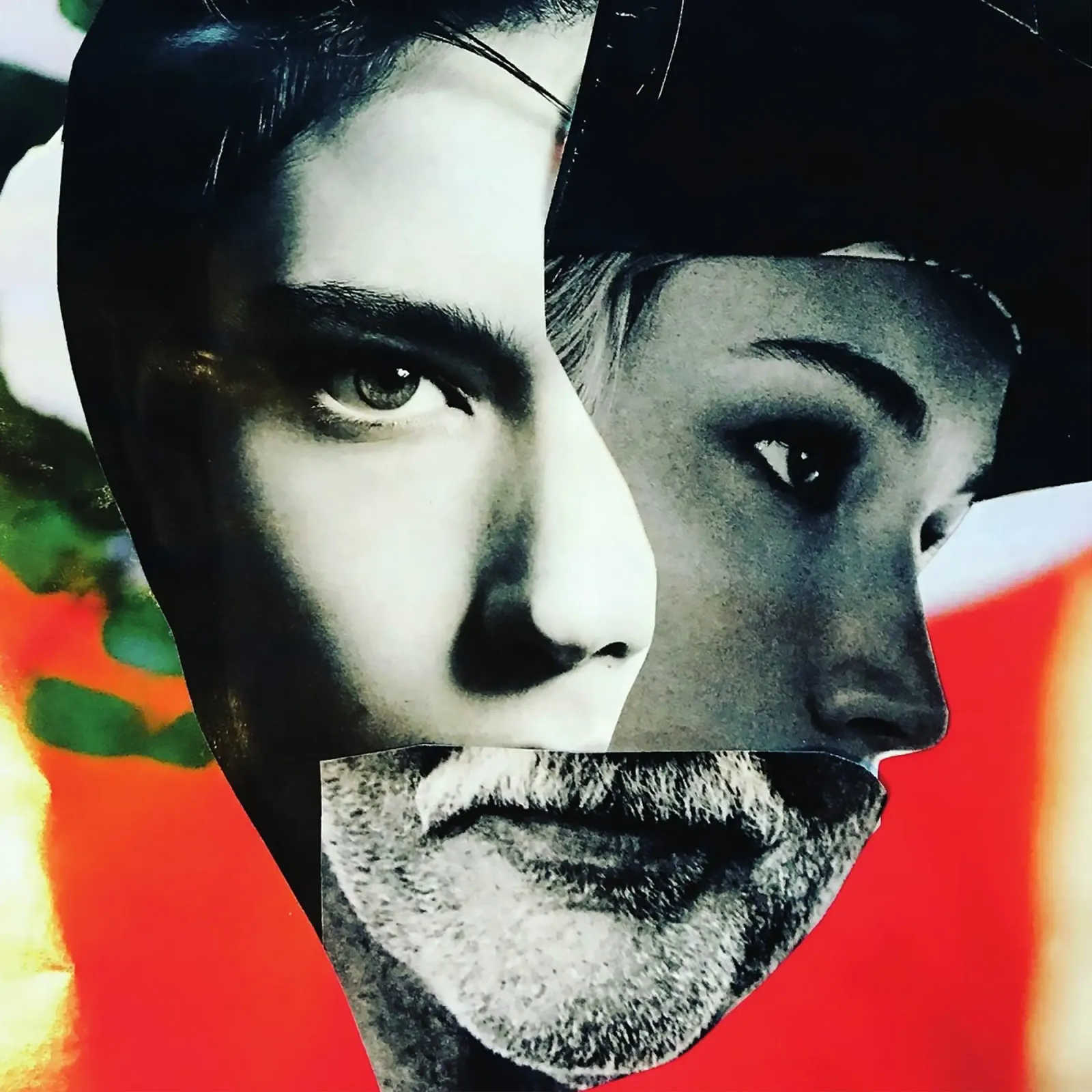 Dupe Pic Collage - gender canvas by MissVeroonica
