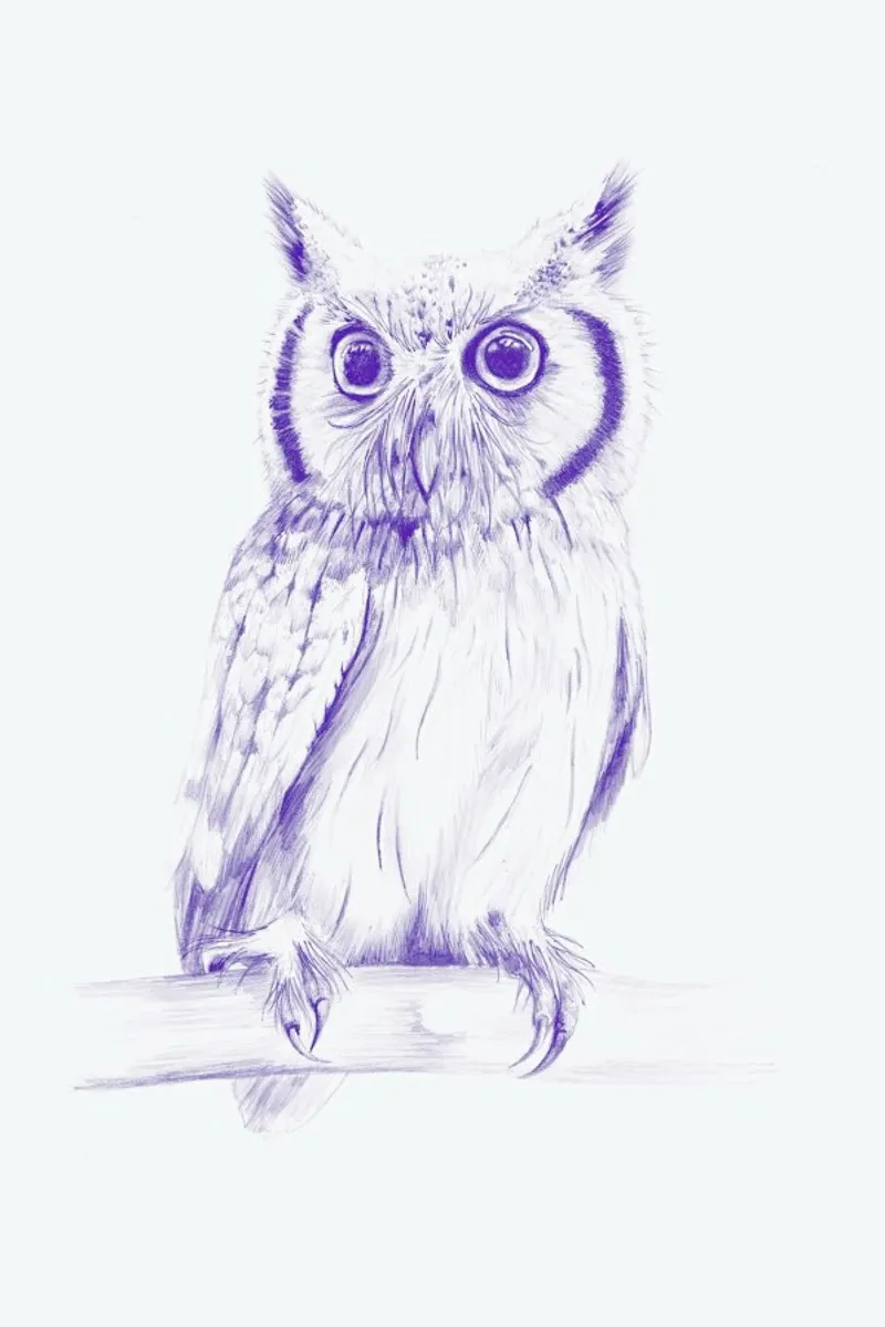 Wise Owl pellicola backlit da La Scarlatte