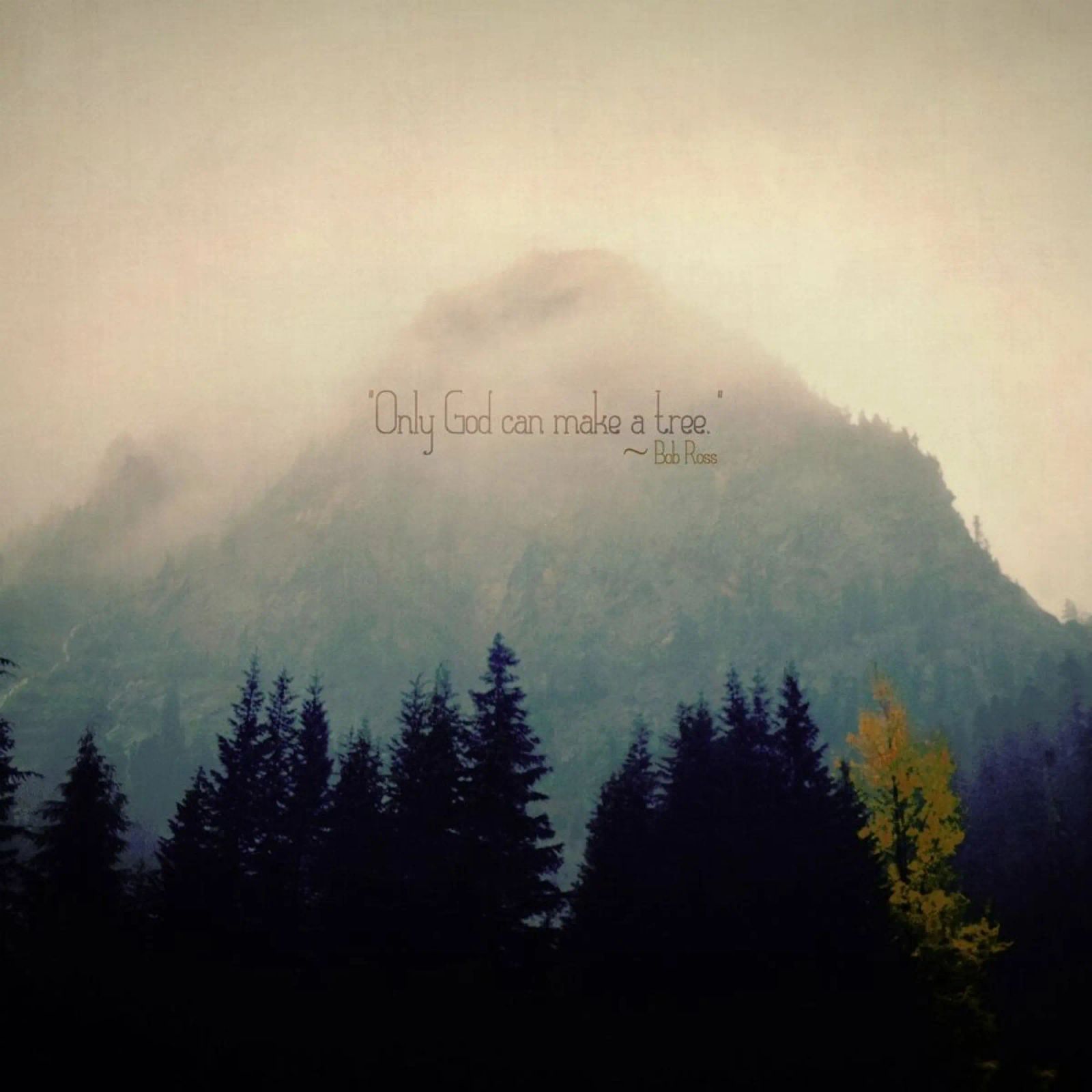 Only God Can Make A Tree pellicola backlit da Robin Delean
