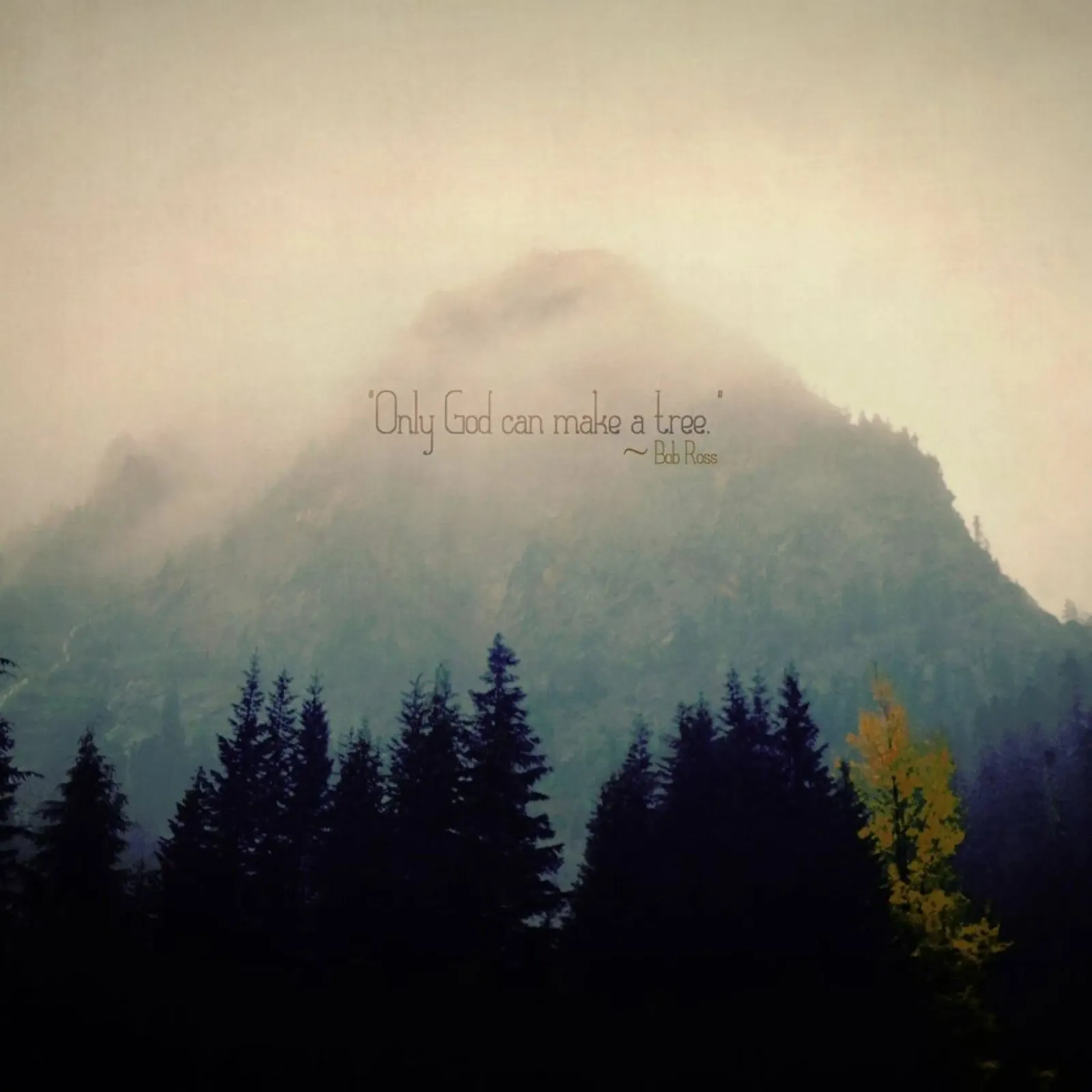 Only God Can Make A Tree pellicola backlit da Robin Delean