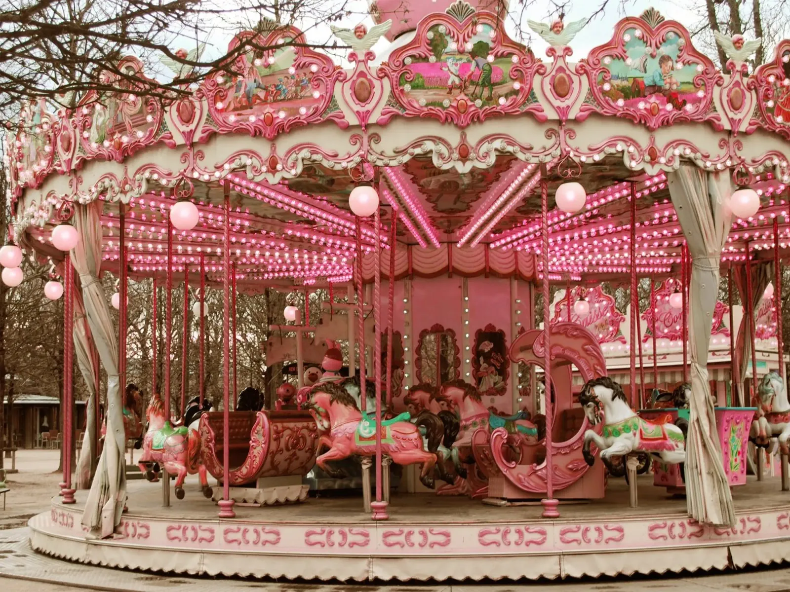 Pink Paris Carousel pellicola backlit da GraceDigitalArtCo