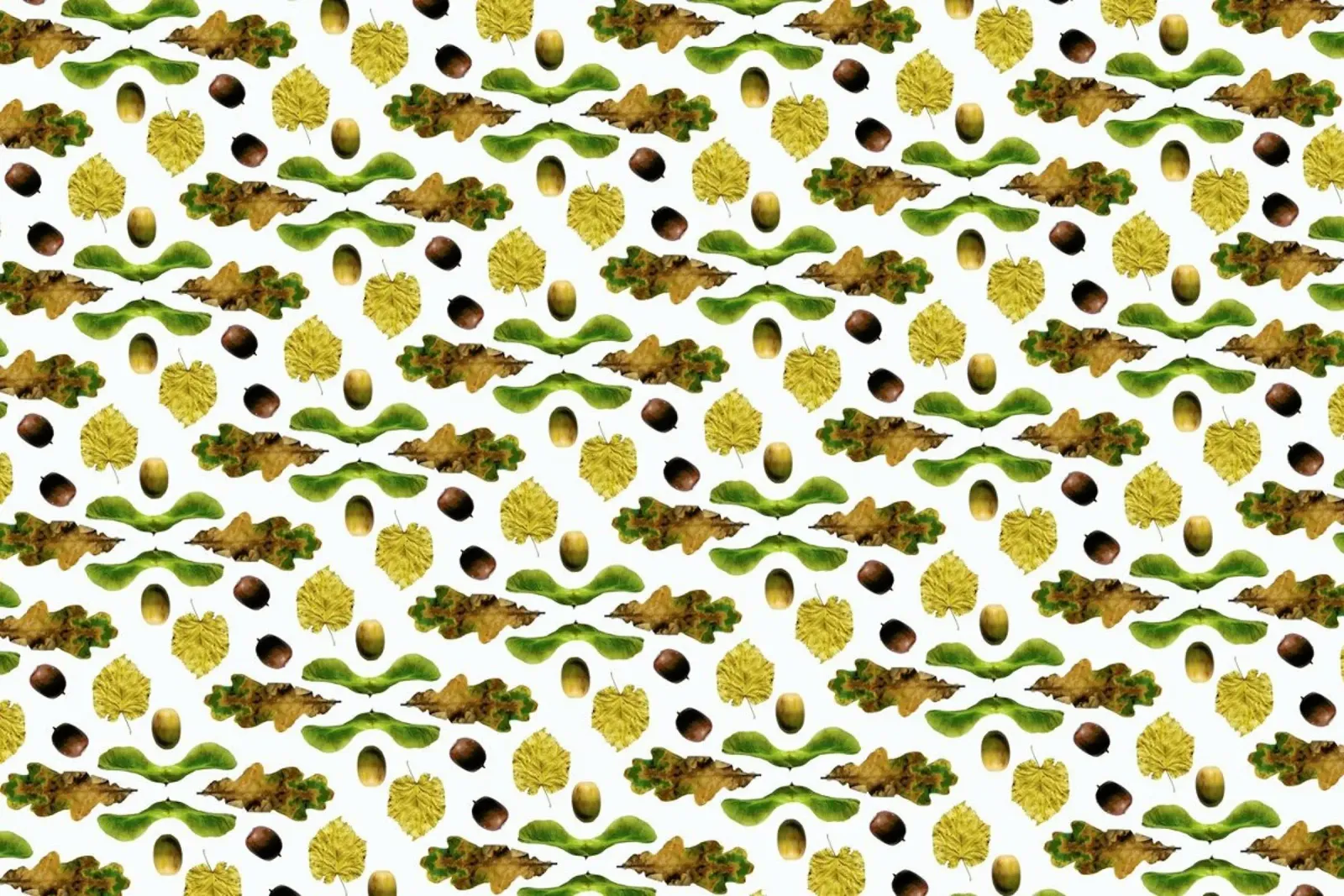 PATTERN AUTUNNALE III pellicola backlit da Elena Veronese