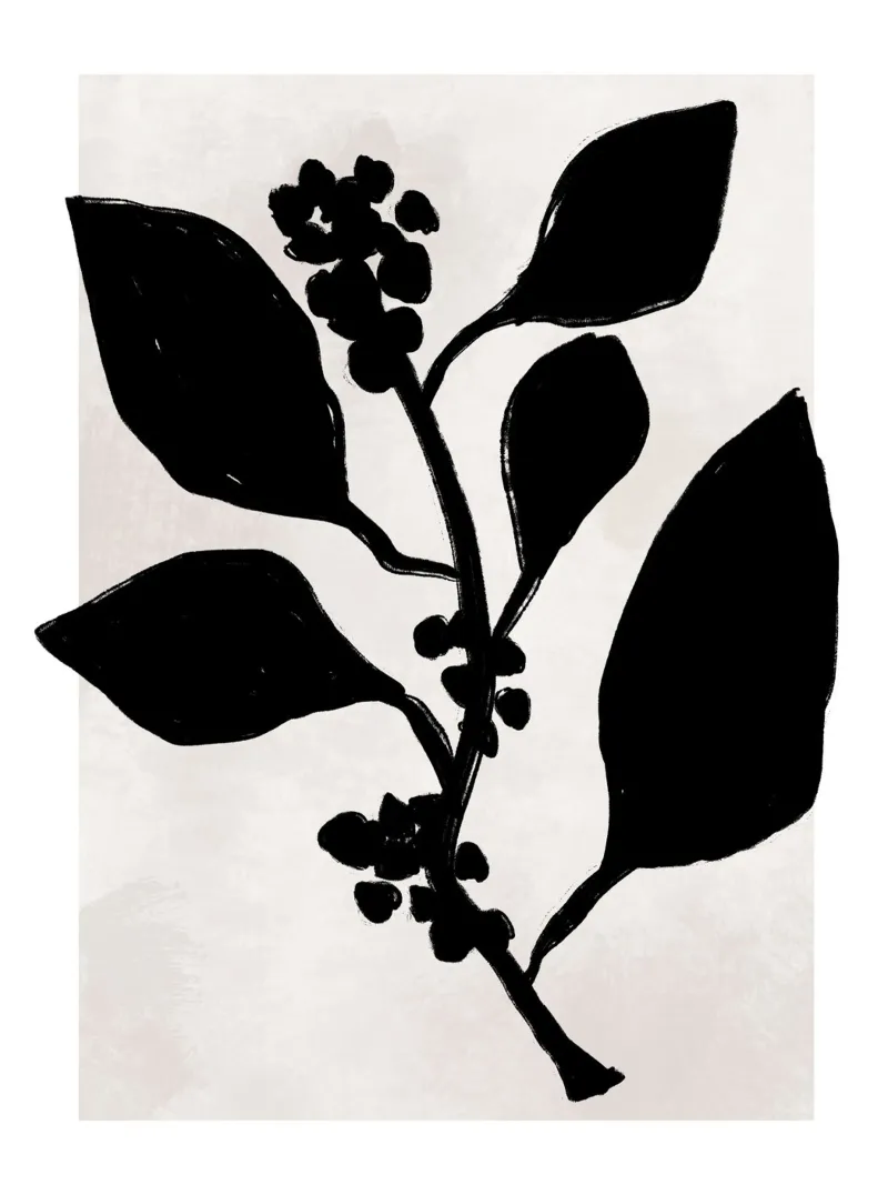 Vie Simple No 68 pellicola backlit da treechild