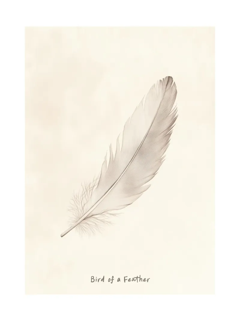 Bird Of A Feather pellicola backlit da treechild