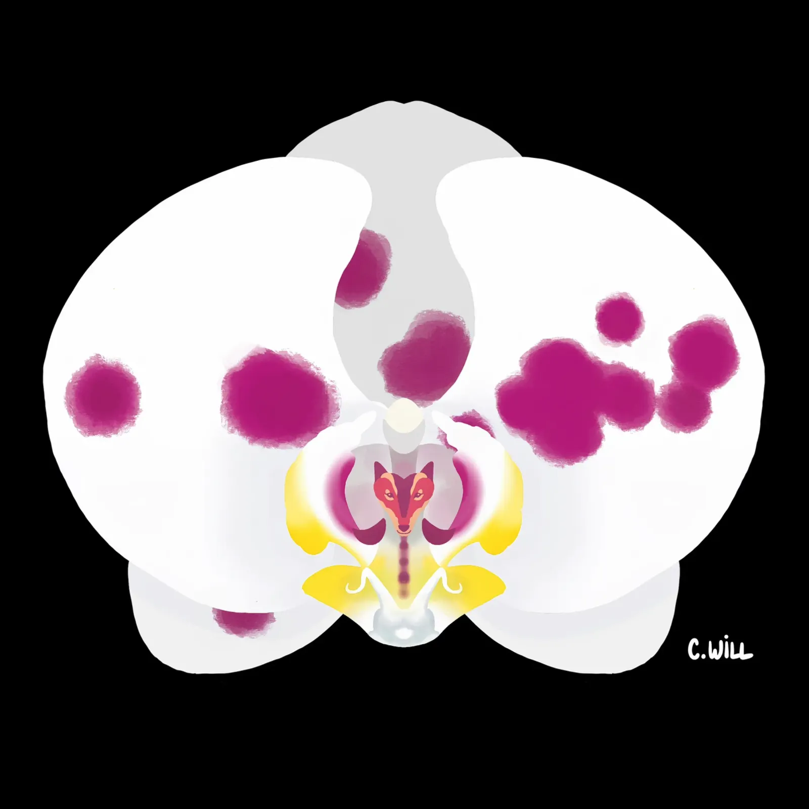 Orchidea lupo plexiglass da C.WILL