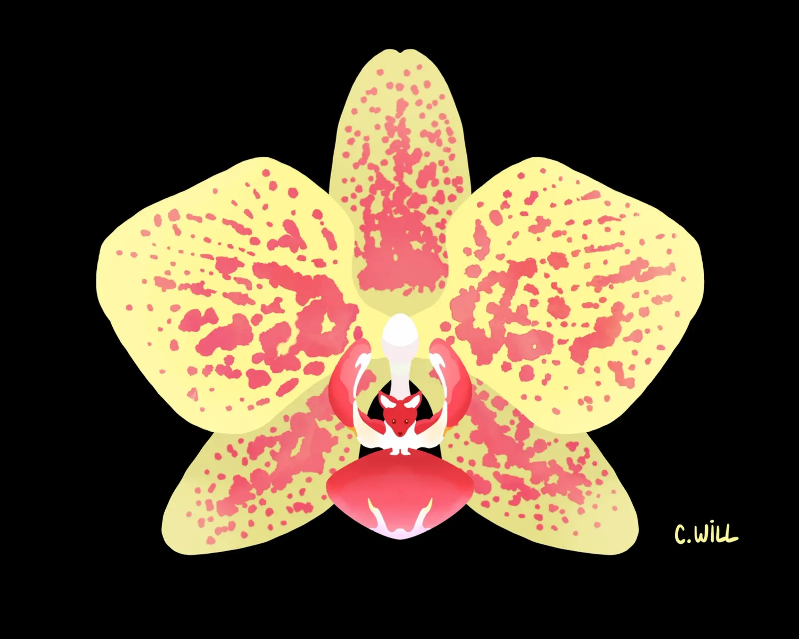 Orchidea volpe carta hahnemühle da C.WILL