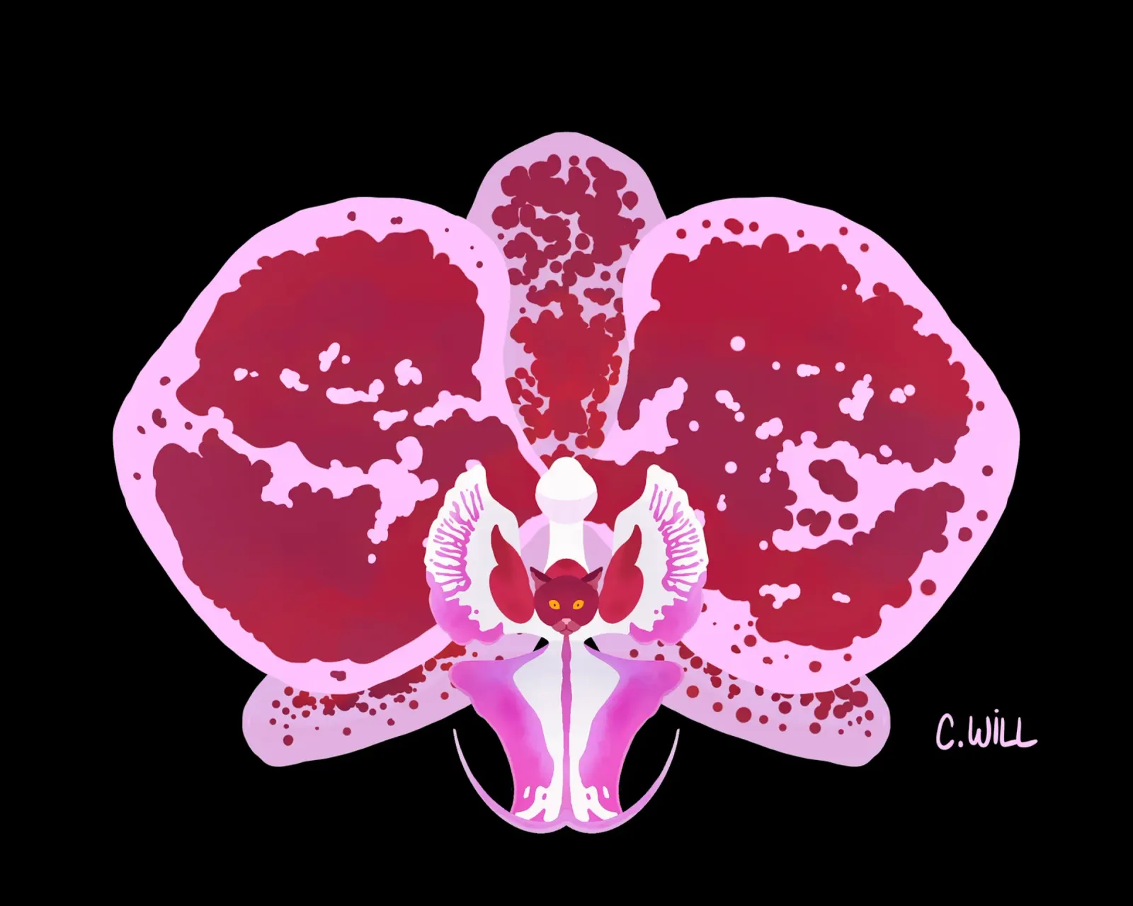Gatto orchidea pellicola backlit da C.WILL